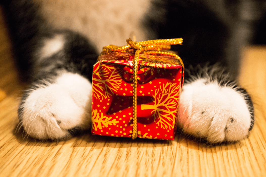 christmas gifts for cats