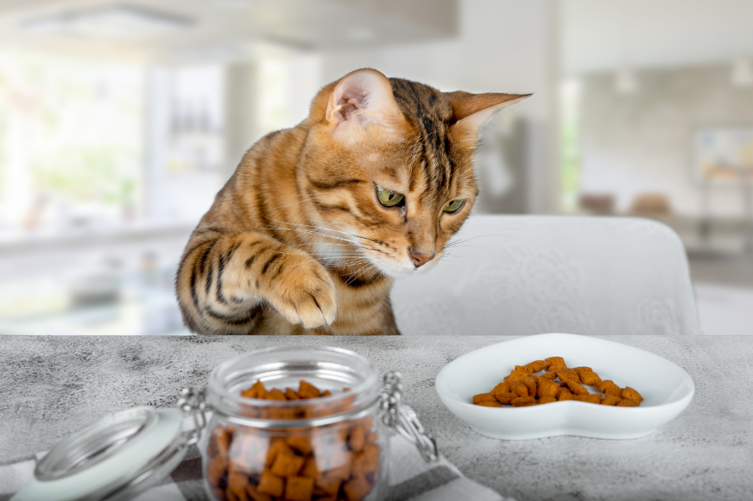 pet supply organizers