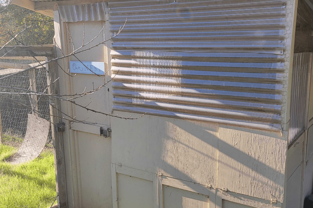 winter chicken coop