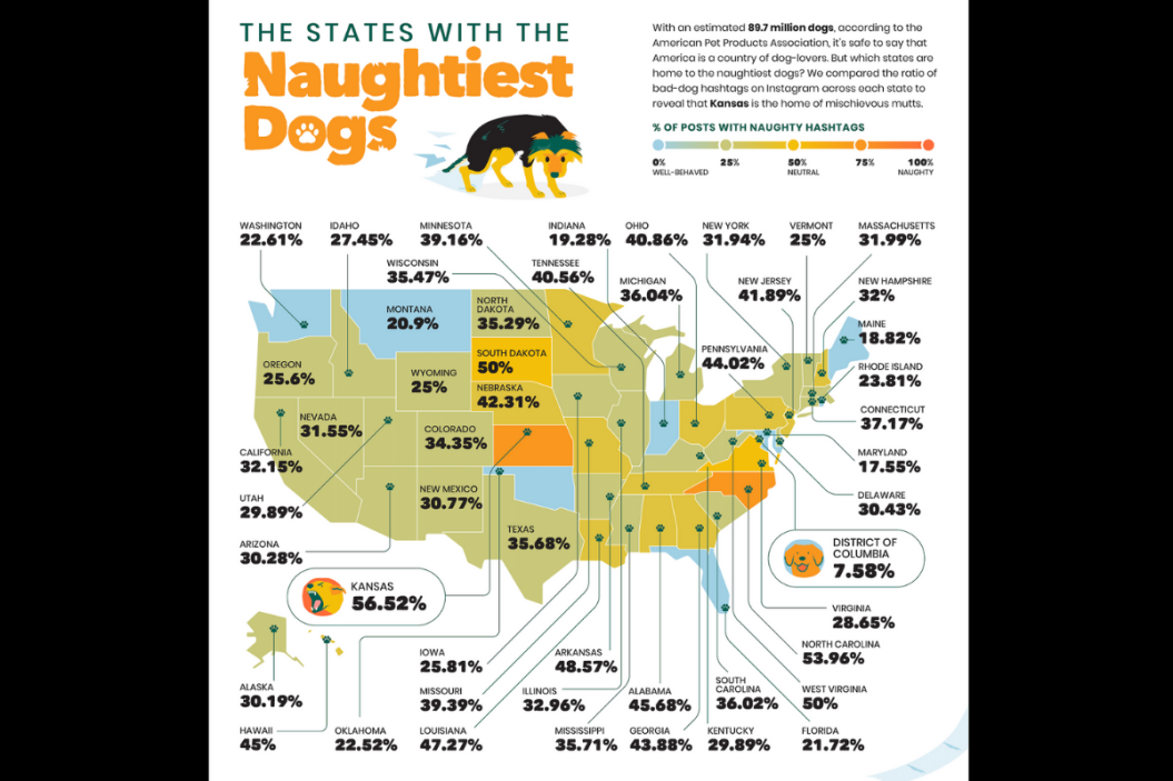 naughtiest dog breeds