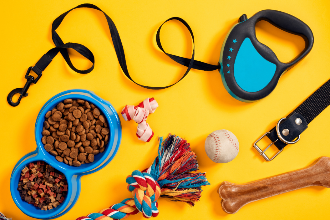 dog essentials spread out on yellow background
