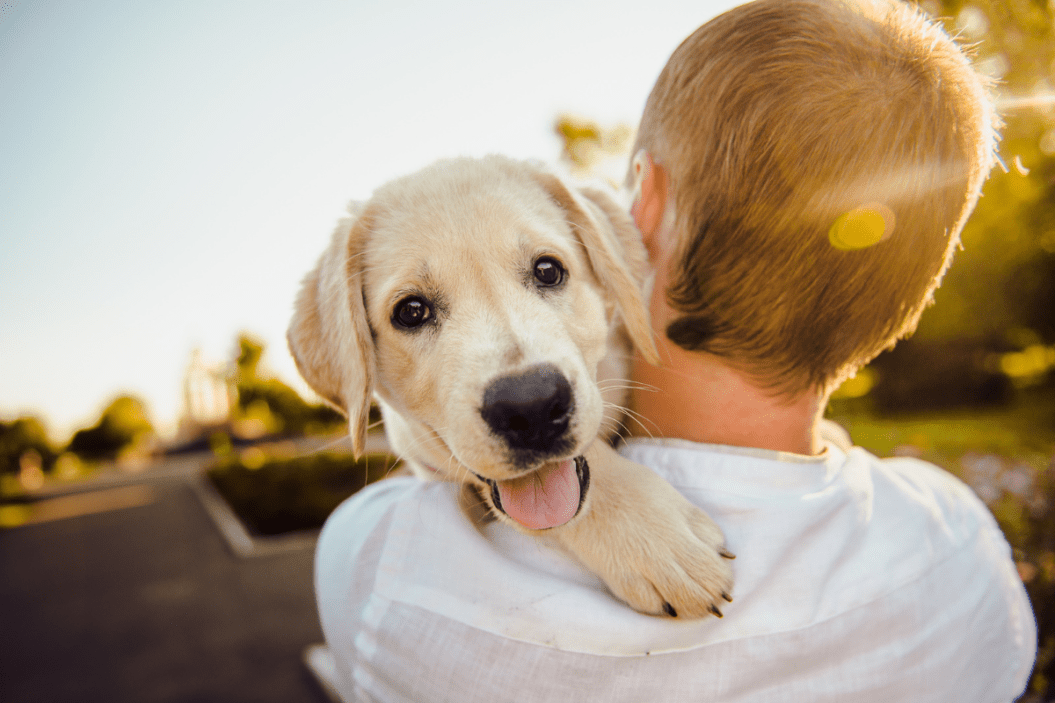 boy holding a yellow puppy