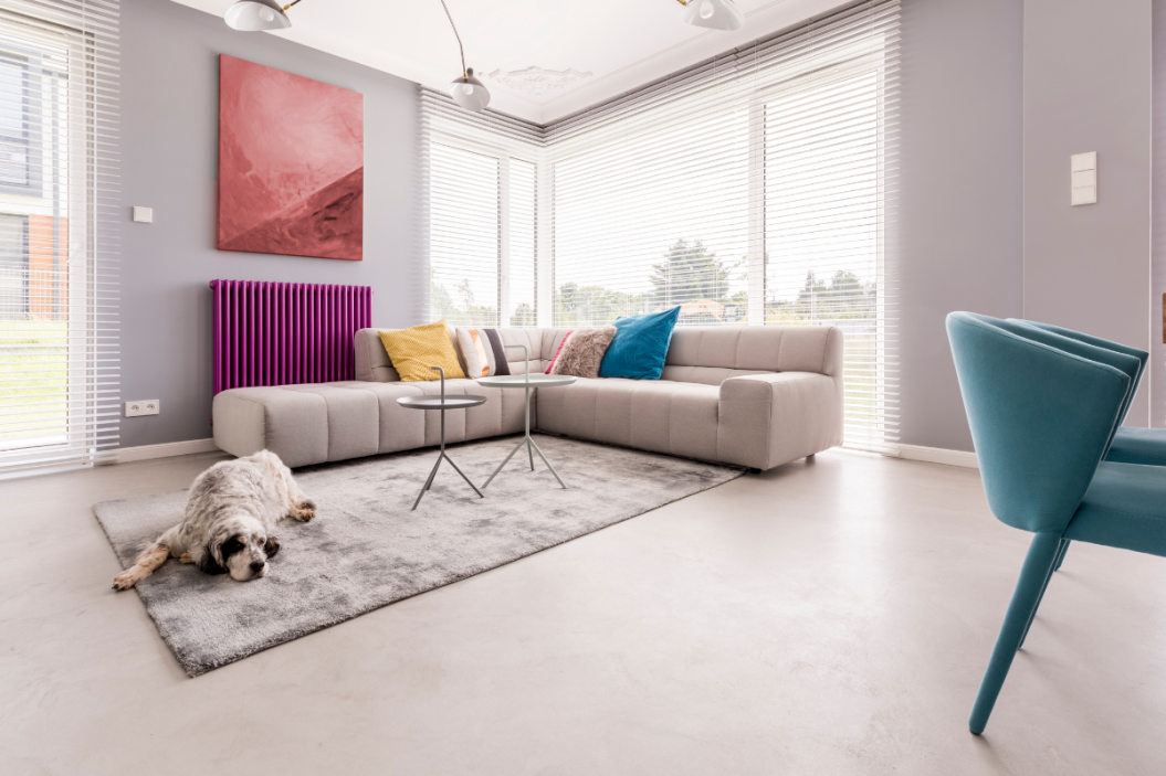 dog sits on a rug in a living room