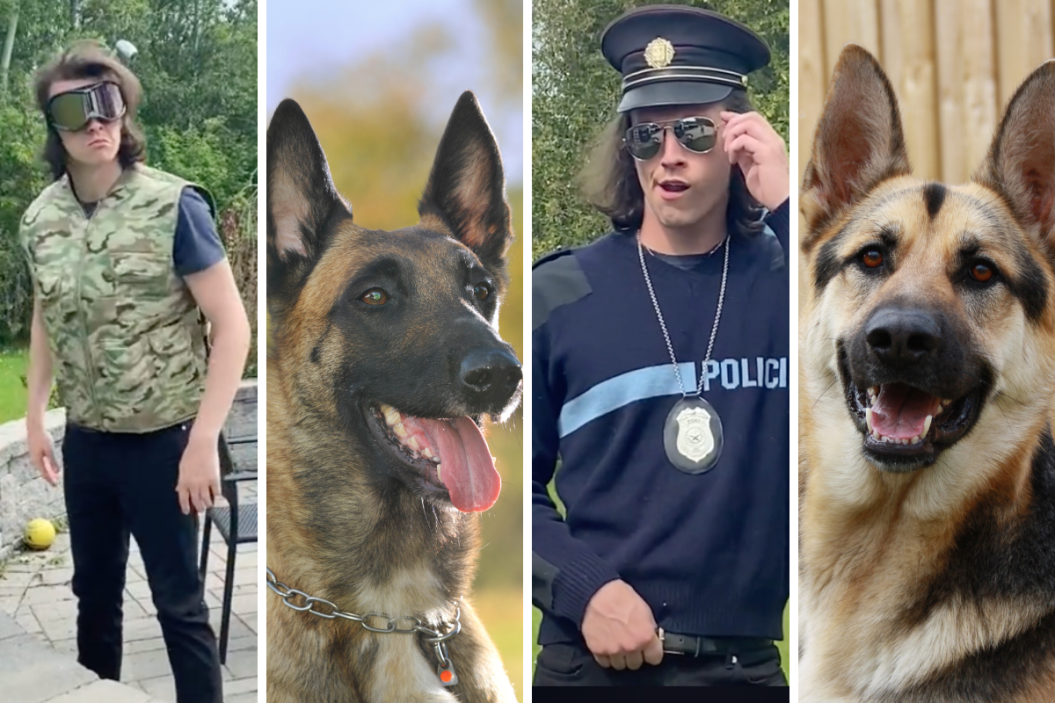 belgian malinois, german shepherd and Jonny Delaney impersonating each