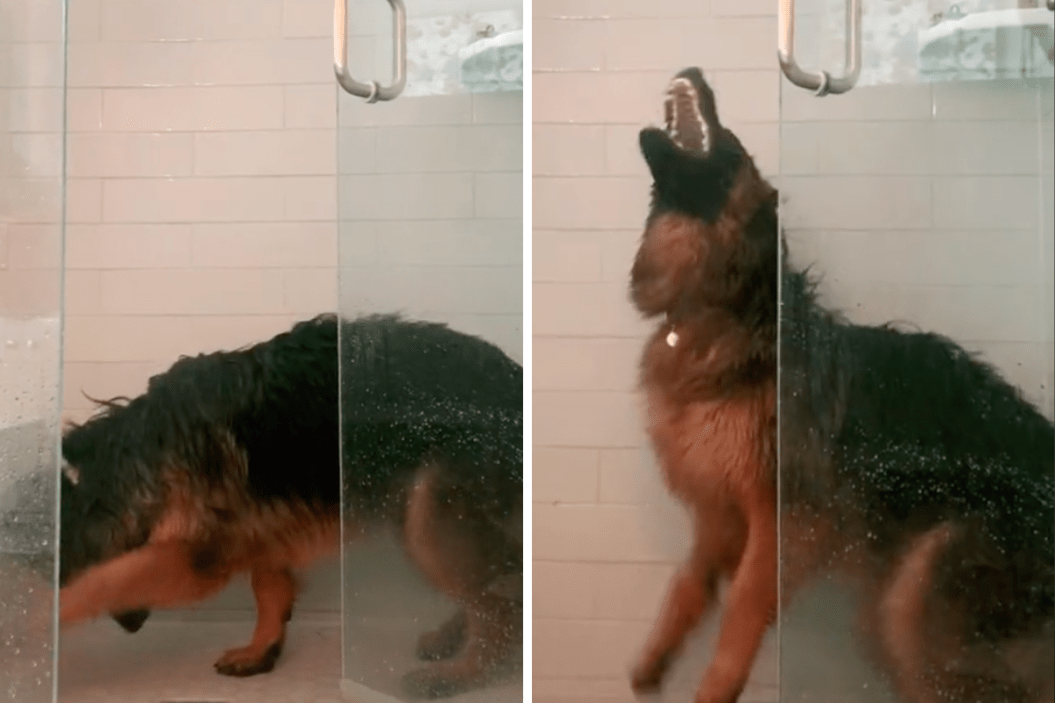 Levi takes a shower