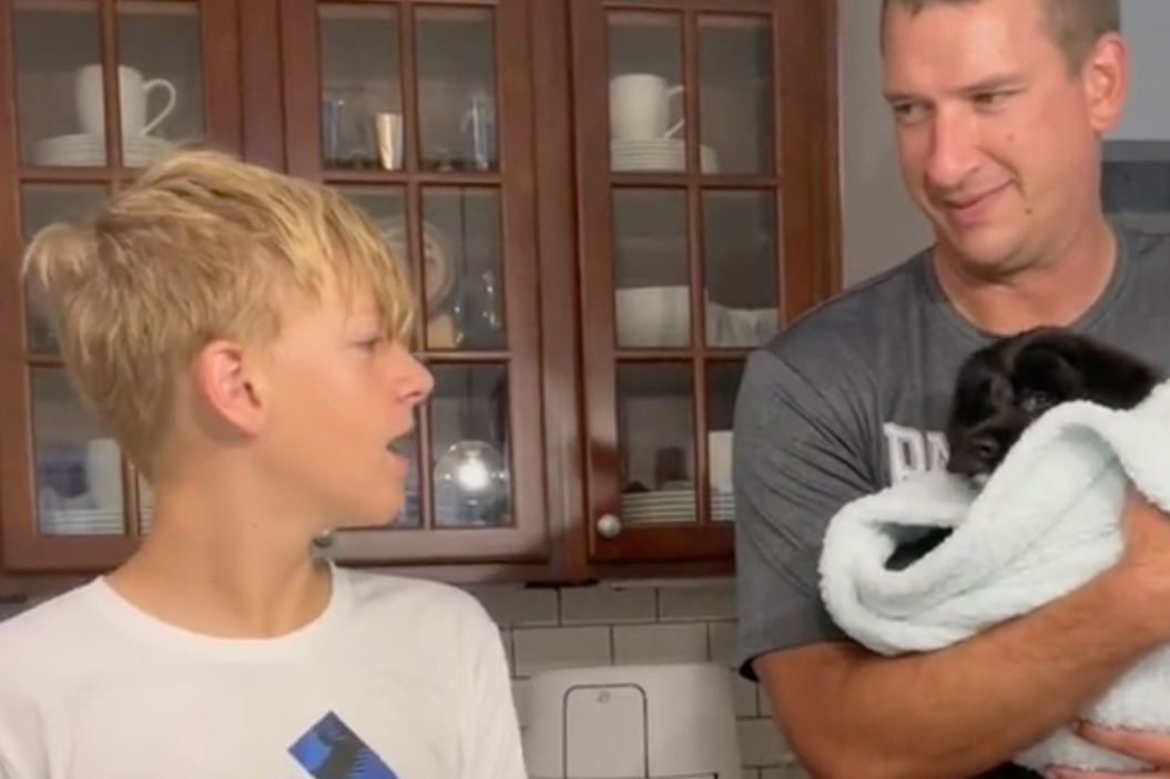 boy meets his new dog
