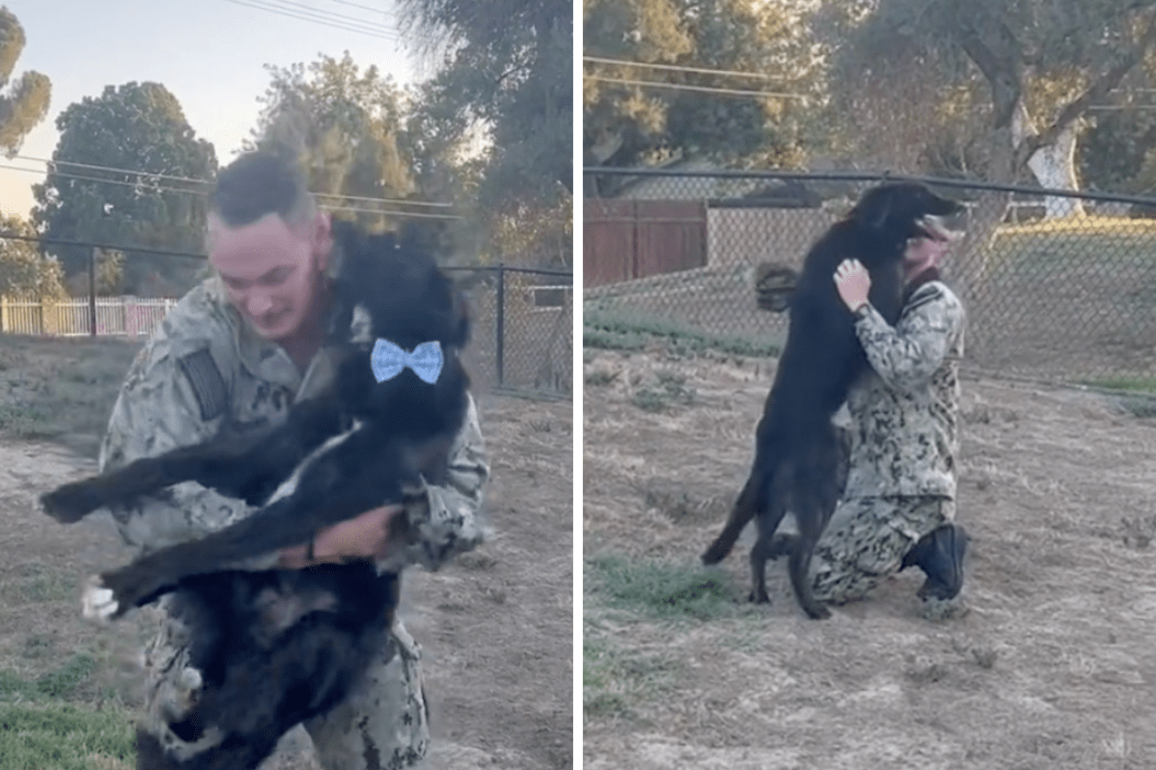 Tony hugs his dog