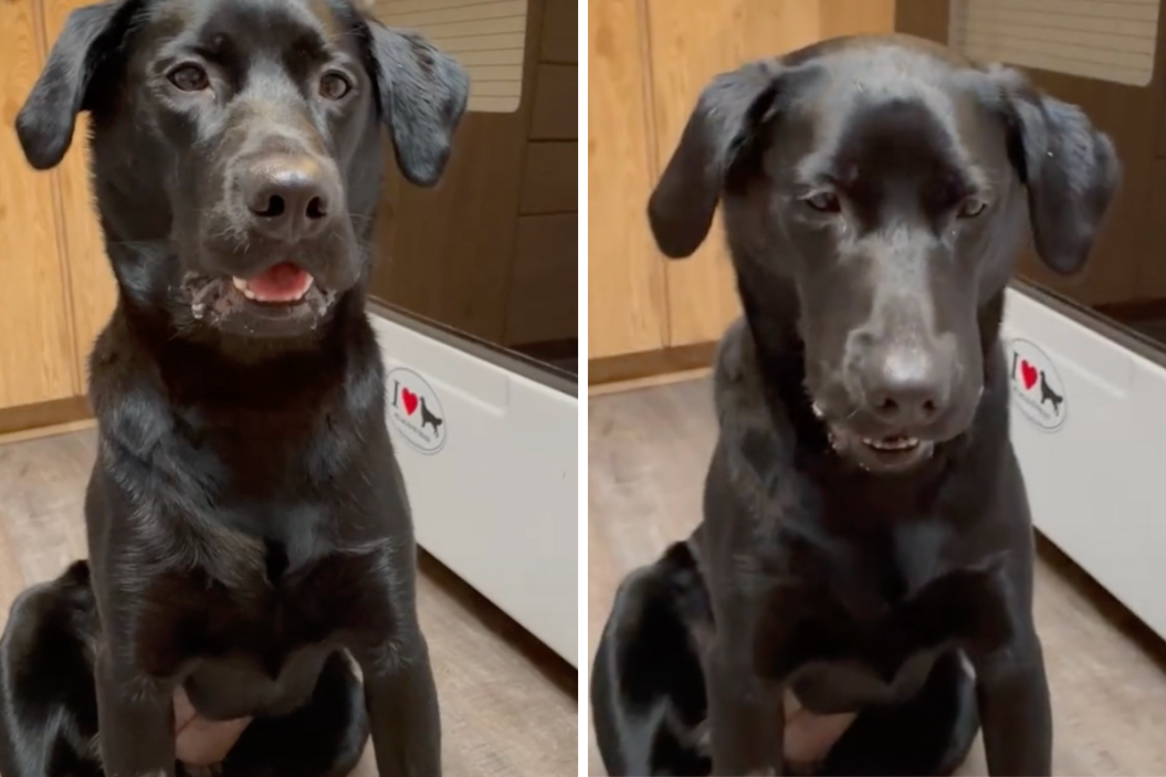 Ember reacts to eating a mango